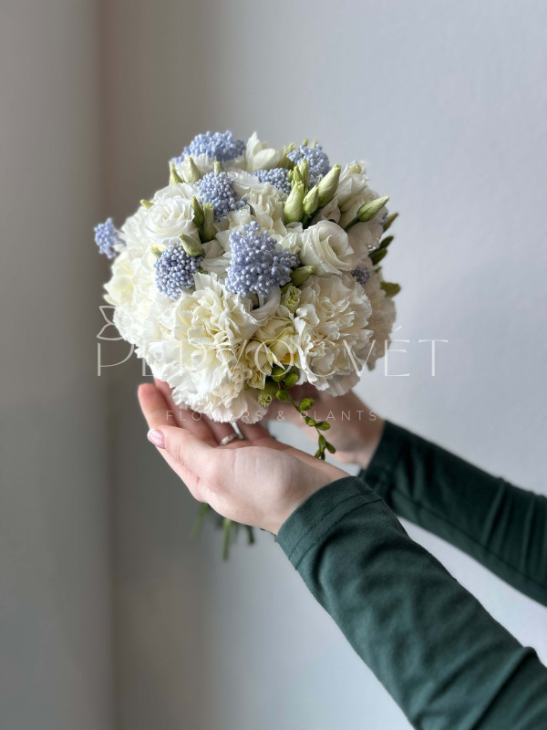 Букет невесты #19 белая гвоздика и голубой озотамнус