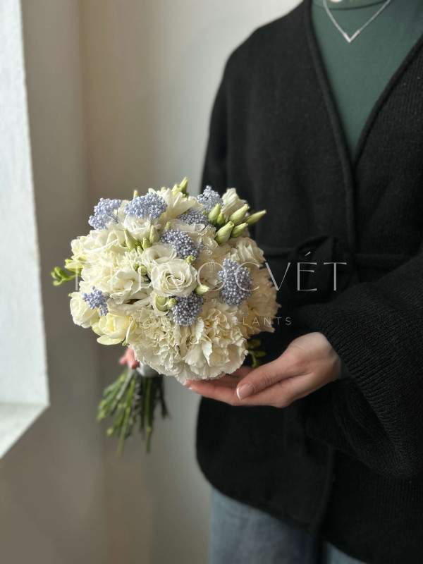 Букет невесты #19 белая гвоздика и голубой озотамнус