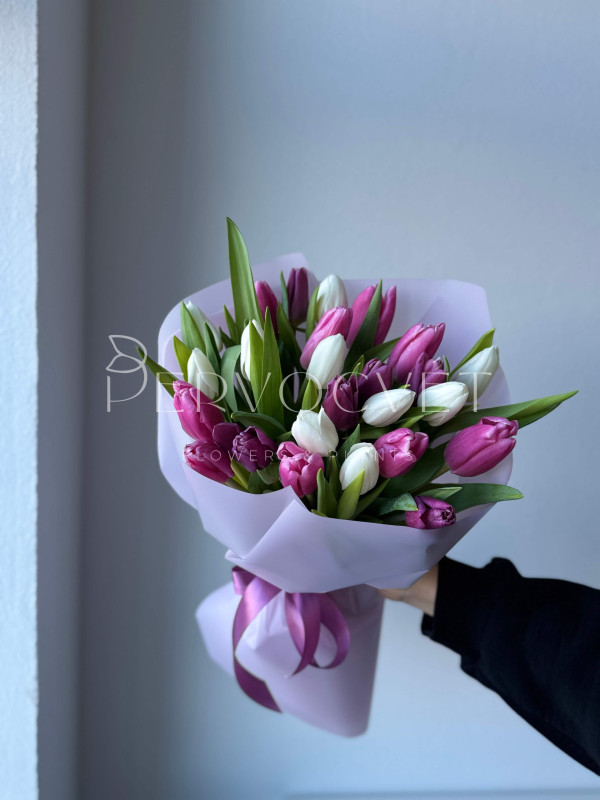 Букет #174 белый и малиновый тюльпан