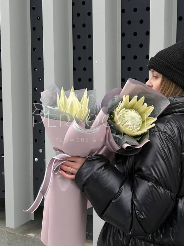 Букет #142 из королевской протеи