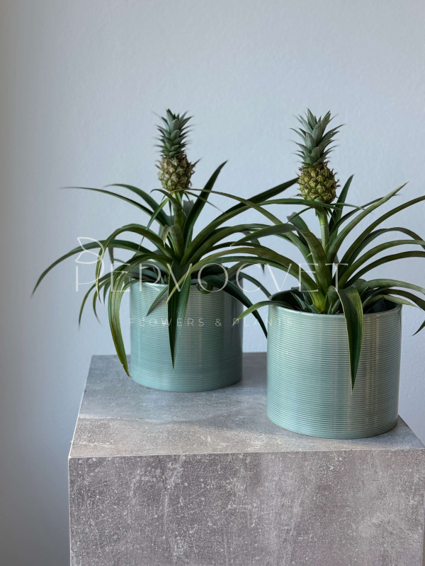 Ананас 40 см