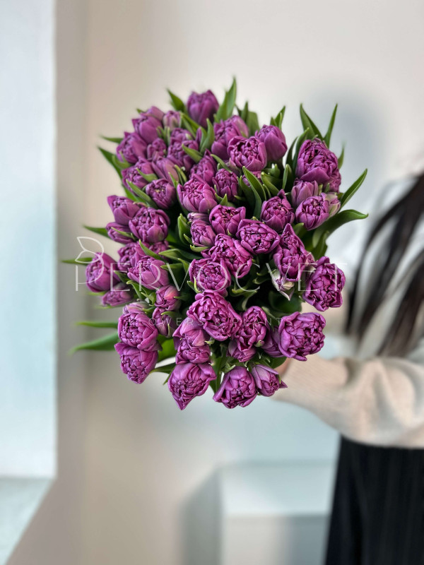 Тюльпан Фиолетовый Пионовидный