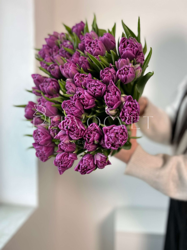 Тюльпан Фиолетовый Пионовидный