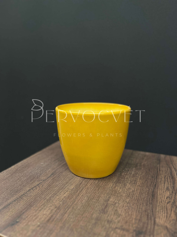 Кашпо керамическое "Оранжевый" d 18.5 см