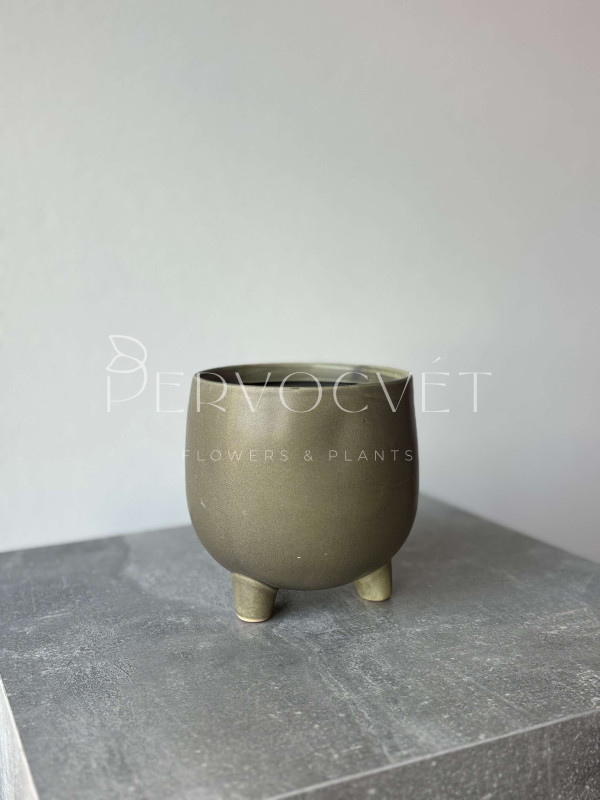 Кашпо керамическое "Зеленое" на ножках d 13 см