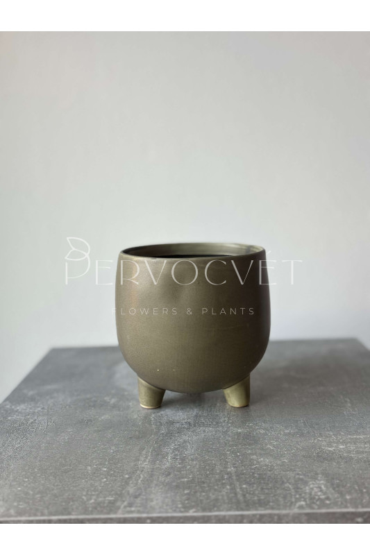 Кашпо керамическое "Зеленое" на ножках d 13 см