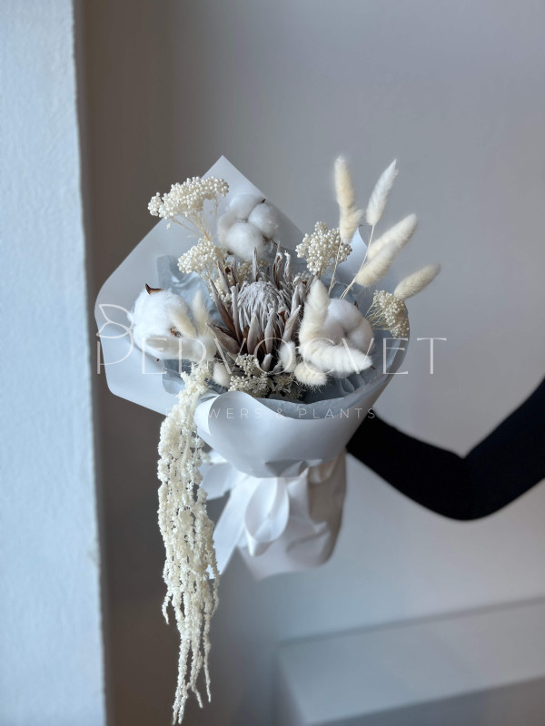 Букет из сухоцветов #34 протея и хлопок