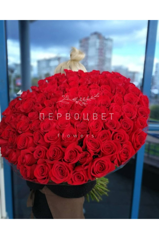 Букет 101 красная роза ЭКВАДОР