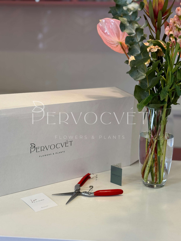 Home Box: в подарок и для себя