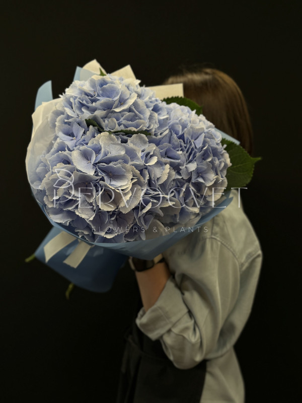 Букет #479 из голубых гортензий