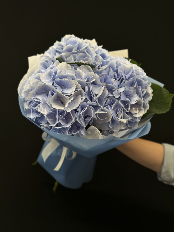 Букет #479 из голубых гортензий