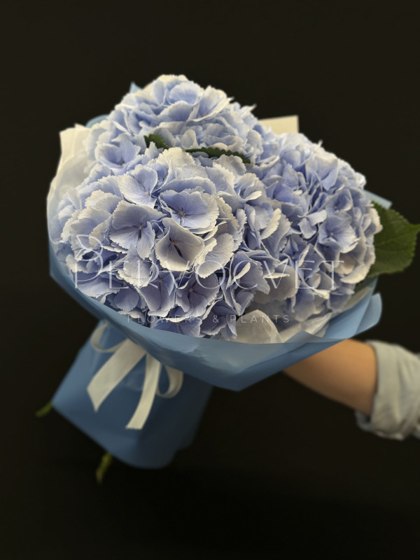 Букет #479 из голубых гортензий