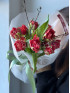 Букет #155 из красных пионовидных тюльпанов